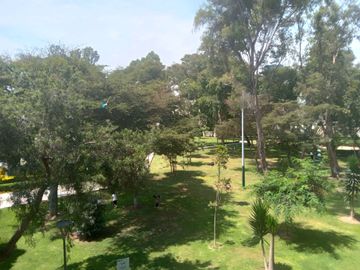 🌿 ¡Vive Frente Al Parque En El Corazón De San Isidro! 🌿