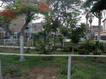 VENDO CASA FRENTE A PARQUE en San Juan de Miraflores