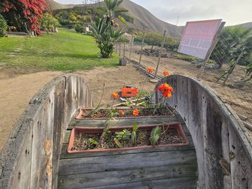Terreno Finca Los Olivos