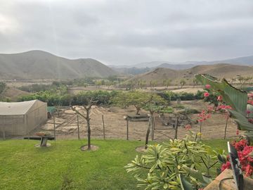 Terreno Finca Los Olivos