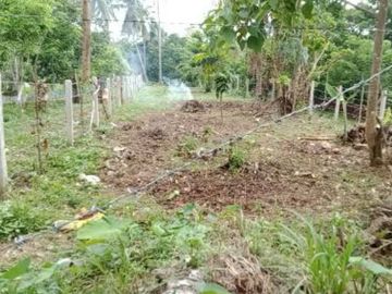 For Sale! New Farm Lots in Kabulusan, Magallanes, Cavite