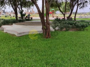 VENDO TERRENO EN LA MEJOR ZONA RESIDENCIAL LAS ACACIAS DE MIRAFLORES, CASTILLA