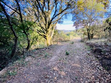 Terrenos en Venta: Despierta donde el bosque te saluda