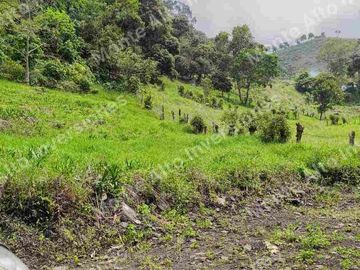 Lote de 5800m² en San Antonio del Tequendama