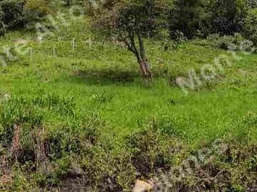 Lote de 5800m² en San Antonio del Tequendama