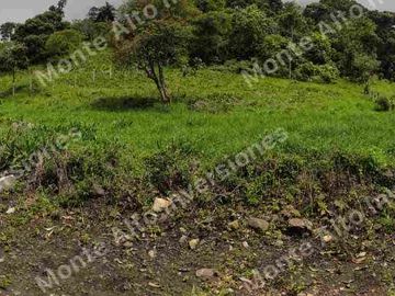 Lote de 5800m² en San Antonio del Tequendama