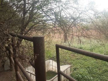 RANCHO EN VENTA EN CADEREYTA JIMENEZ, NUEVO LEON, 104 HECTAREAS, MULTIPLES VIAS DE ACCESO, ZONA DE MUY ALTA PLUSVALIA, A 5 KMS DE C CADEREYTA-ALLENDE