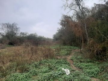 RANCHO EN VENTA EN CADEREYTA JIMENEZ, NUEVO LEON, 104 HECTAREAS, MULTIPLES VIAS DE ACCESO, ZONA DE MUY ALTA PLUSVALIA, A 5 KMS DE C CADEREYTA-ALLENDE