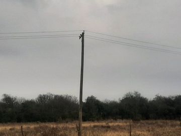 RANCHO EN VENTA EN CADEREYTA JIMENEZ, NUEVO LEON, 104 HECTAREAS, MULTIPLES VIAS DE ACCESO, ZONA DE MUY ALTA PLUSVALIA, A 5 KMS DE C CADEREYTA-ALLENDE