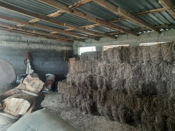 RANCHO EN VENTA EN CADEREYTA JIMENEZ, NUEVO LEON, 104 HECTAREAS, MULTIPLES VIAS DE ACCESO, ZONA DE MUY ALTA PLUSVALIA, A 5 KMS DE C CADEREYTA-ALLENDE