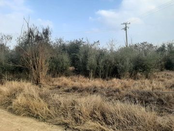RANCHO EN VENTA EN CADEREYTA JIMENEZ, NUEVO LEON, 41 HECTAREAS, MULTIPLES VIAS DE ACCESO, ZONA ALTA PLUSVALIA, A 10 MIN ENTRONQUE C CADEREYTA-ALLENDE