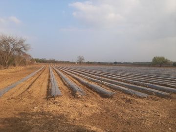 RANCHO EN VENTA EN CADEREYTA JIMENEZ, NUEVO LEON, 41 HECTAREAS, MULTIPLES VIAS DE ACCESO, ZONA ALTA PLUSVALIA, A 10 MIN ENTRONQUE C CADEREYTA-ALLENDE