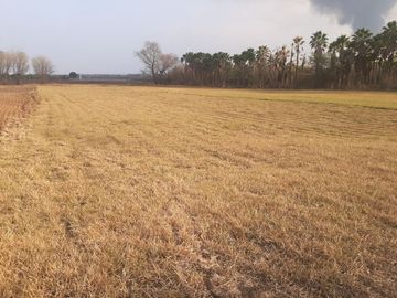 RANCHO EN VENTA EN CADEREYTA JIMENEZ, NUEVO LEON, 41 HECTAREAS, MULTIPLES VIAS DE ACCESO, ZONA ALTA PLUSVALIA, A 10 MIN ENTRONQUE C CADEREYTA-ALLENDE