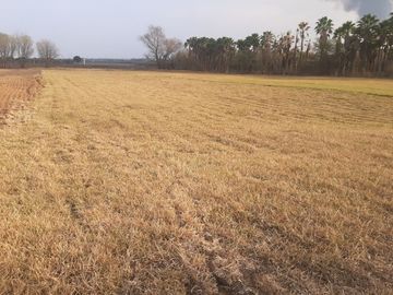 RANCHO EN VENTA EN CADEREYTA JIMENEZ, NUEVO LEON, 41 HECTAREAS, MULTIPLES VIAS DE ACCESO, ZONA ALTA PLUSVALIA, A 10 MIN ENTRONQUE C CADEREYTA-ALLENDE