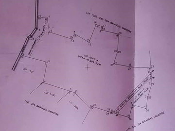 Prime Industrial Lot for Sale – Batangas City (Near Batangas International Port)