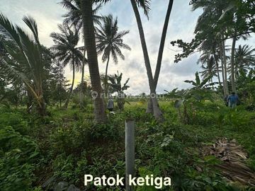 Tanah Kavling Bagus untuk Resort Luas 4,3 Ha dekat Resort Kawasan Archipelago Carita, Pandeglang 21,9 M nego