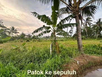 Tanah Kavling Bagus untuk Resort Luas 4,3 Ha dekat Resort Kawasan Archipelago Carita, Pandeglang 21,9 M nego