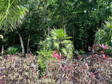 Casa con alberca privada y jacuzzi en venta, Tulum Country Club, Tulum
