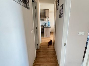 !!Excelente Oportunidad de venta¡¡ 4050 UF,  Departamento en Sector Norte, Frente al mar