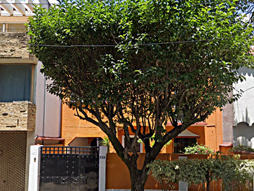VENTA DE HERMOSA CASA EN COL. DEL VALLECENTRO, BENITO JUAREZ, CIUDAD DE MEXICO