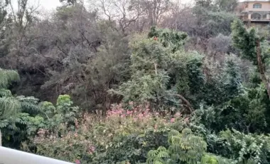 Analco Cuernavaca Quintas Del Bosque Departamento En Venta 3 R.