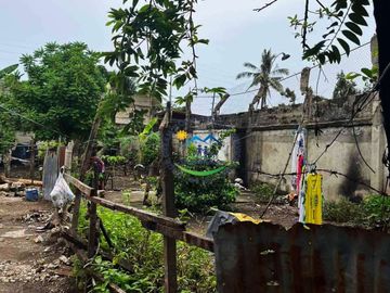 For Sale 734 Sqm Commercial Lot in Pajo, Lapu-Lapu City