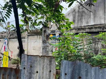 For Sale 734 Sqm Commercial Lot in Pajo, Lapu-Lapu City