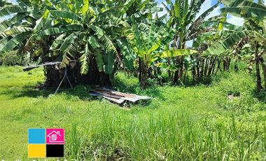 Lot For Sale in Talamban Cebu City