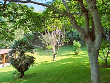 Oportunidad!! Vendo en Pachacamac, av. Reusche, ideal , casa de reposo, finca, hotel, restaurante