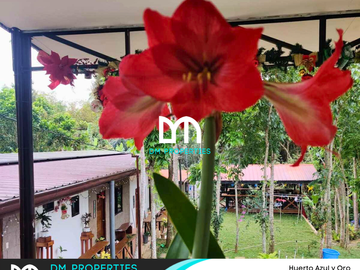 For Sale: Fully Furnished Gated Rest House in Huerto Azul y Oro, Alfonso, Cavite