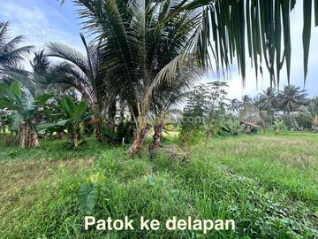 Tanah Komersil MURAH luas 43800 m2 Pinggir Pantai di kawasan Carita Pandeglang Cocok untuk Resort dan Villa siap pakai