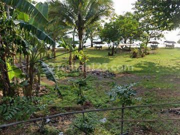 Tanah Komersil MURAH luas 43800 m2 Pinggir Pantai di kawasan Carita Pandeglang Cocok untuk Resort dan Villa siap pakai