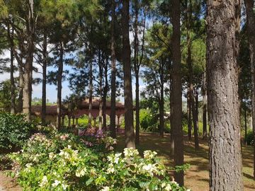 Pre-owned house with big garden in Ponderosa Leisure Farms Brgy.  Ulat, Silang Cavite