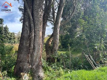 Terreno de venta en Otavalo sector Araque, 664 m2