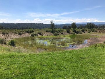 Rancho de Oportunidad con Pozo, 31 Hectáreas en Venta. ¡¡¡ Bella Ecología !!! en Villa del Carbón Edo. Méx. Con los servicios necesarios, a solo 7 Min