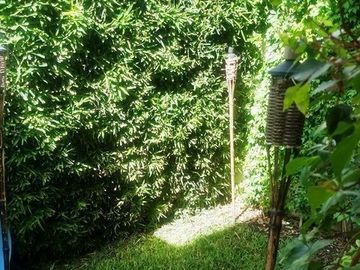 SE RENTA CASA EN RESIDENCIAL LOS ALMENDROS, ALBERCA, PALAPA AYALA MORELOS