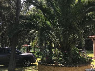 Rancho Con Bello Bosque, A Solo 7 Minutos de la Autopista México A Querétaro Km. 97.5.  En San Francisco Soyaniquilpan Edo. Méx.