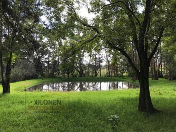 Rancho Con Bello Bosque, A Solo 7 Minutos de la Autopista México A Querétaro Km. 97.5.  En San Francisco Soyaniquilpan Edo. Méx.