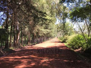 Rancho Con Bello Bosque, A Solo 7 Minutos de la Autopista México A Querétaro Km. 97.5.  En San Francisco Soyaniquilpan Edo. Méx.