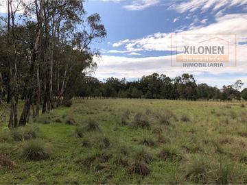 Rancho Privilegiado de 40 Hectáreas con Bella Ecología ( árboles de encinos, robles, ocotes y eucaliptos) y planicies. Delimitado totalmente.