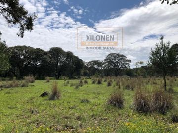 Rancho Privilegiado de 40 Hectáreas con Bella Ecología ( árboles de encinos, robles, ocotes y eucaliptos) y planicies. Delimitado totalmente.