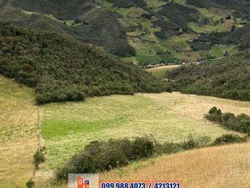 SEIS HECTAREAS DE VENTA EN SECTOR GULCAY, CUMBE