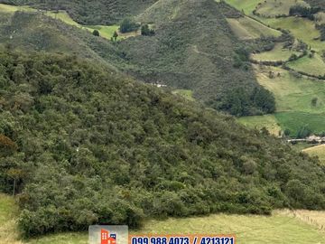 SEIS HECTAREAS DE VENTA EN SECTOR GULCAY, CUMBE