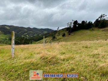 DOS HECTAREAS DE TERRENO DE VENTA CON CASA. IDEAL PARA VACACIONAR