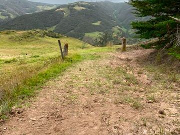 DOS HECTAREAS DE TERRENO DE VENTA CON CASA. IDEAL PARA VACACIONAR