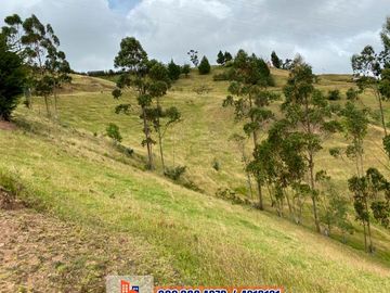 DOS HECTAREAS DE TERRENO DE VENTA CON CASA. IDEAL PARA VACACIONAR