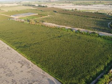 🌿 ¡Invierte En Tierra De Oportunidades! – 2.93 Hectáreas En Chincha Baja 🌿