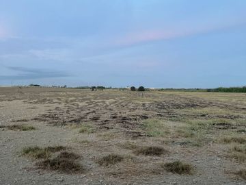 🌿 ¡Invierte En Tierra De Oportunidades! – 2.93 Hectáreas En Chincha Baja 🌿