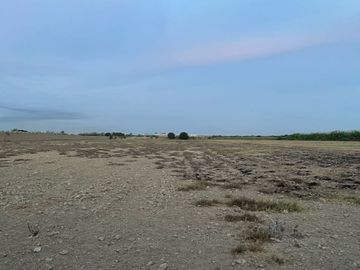 🌿 ¡Invierte En Tierra De Oportunidades! – 2.93 Hectáreas En Chincha Baja 🌿