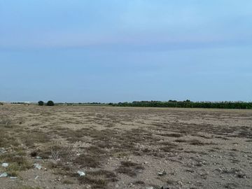 🌿 ¡Invierte En Tierra De Oportunidades! – 2.93 Hectáreas En Chincha Baja 🌿